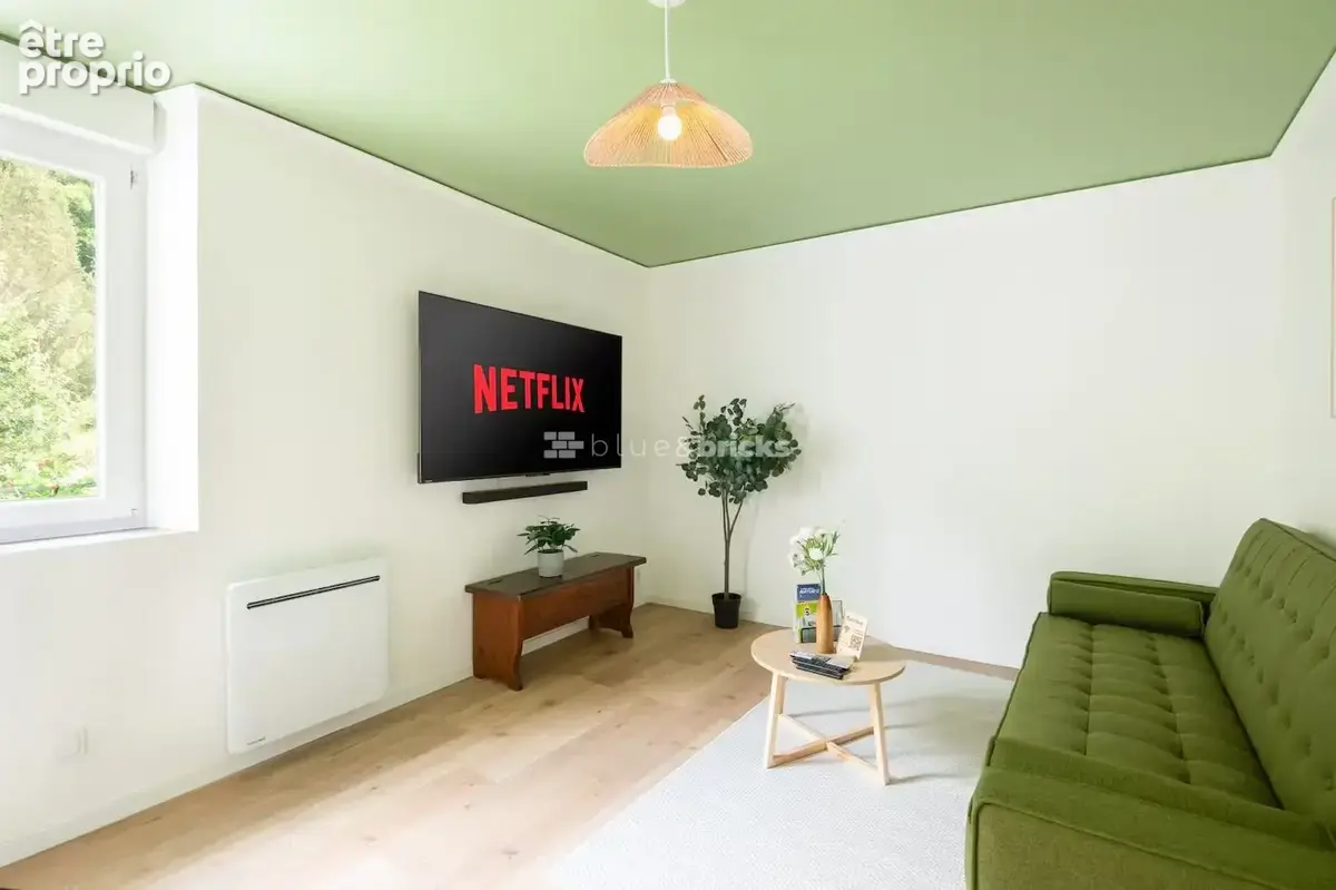 Appartement 350 m² à vendre à Epinal (88000) - photo 7