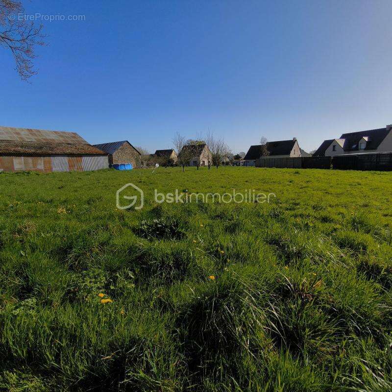 Terrain constructible de 1597m² - photo 3