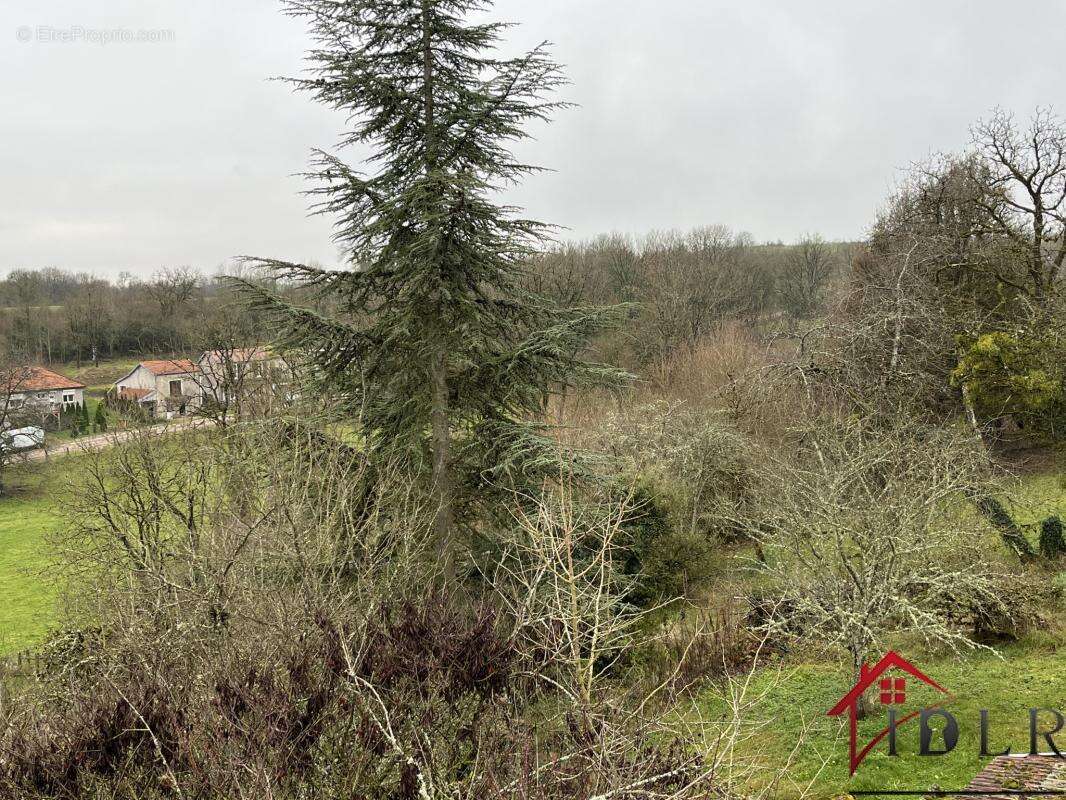 Maison à BOURBONNE-LES-BAINS