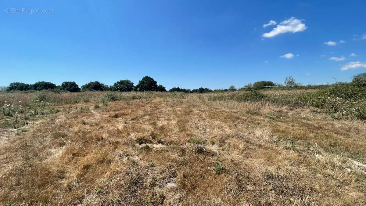 Terrain à SAINT-CHRISTOPHE-DU-LIGNERON