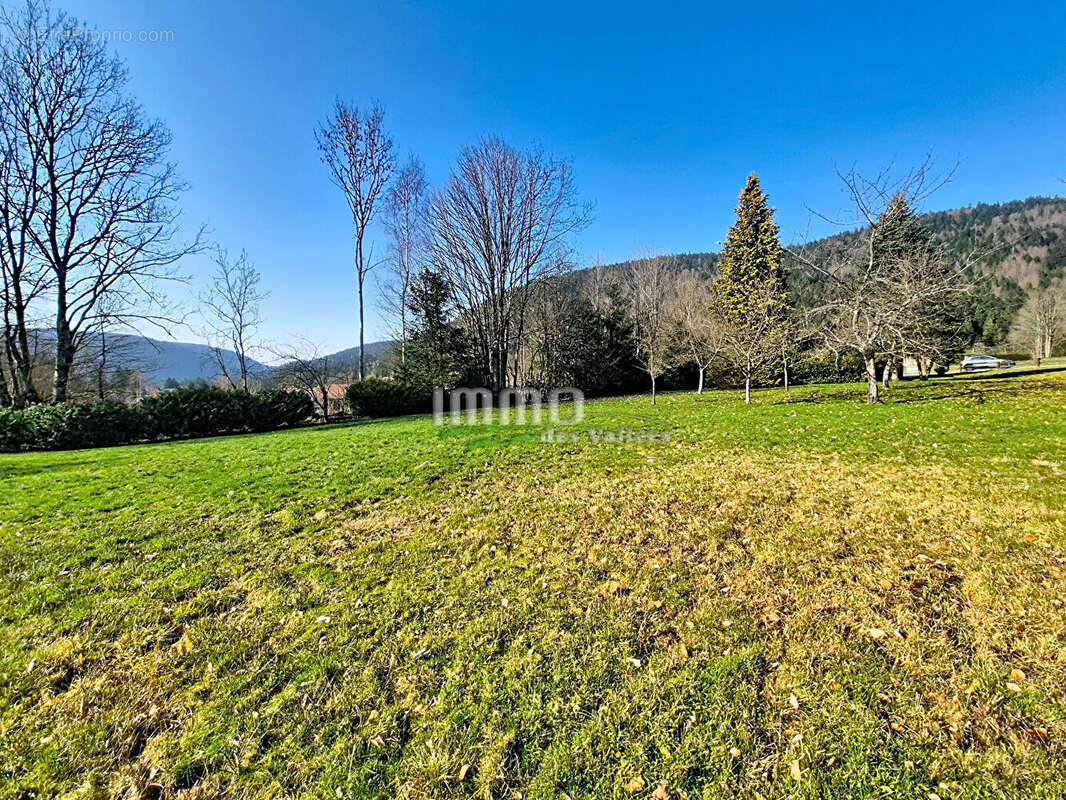 Terrain à XONRUPT-LONGEMER