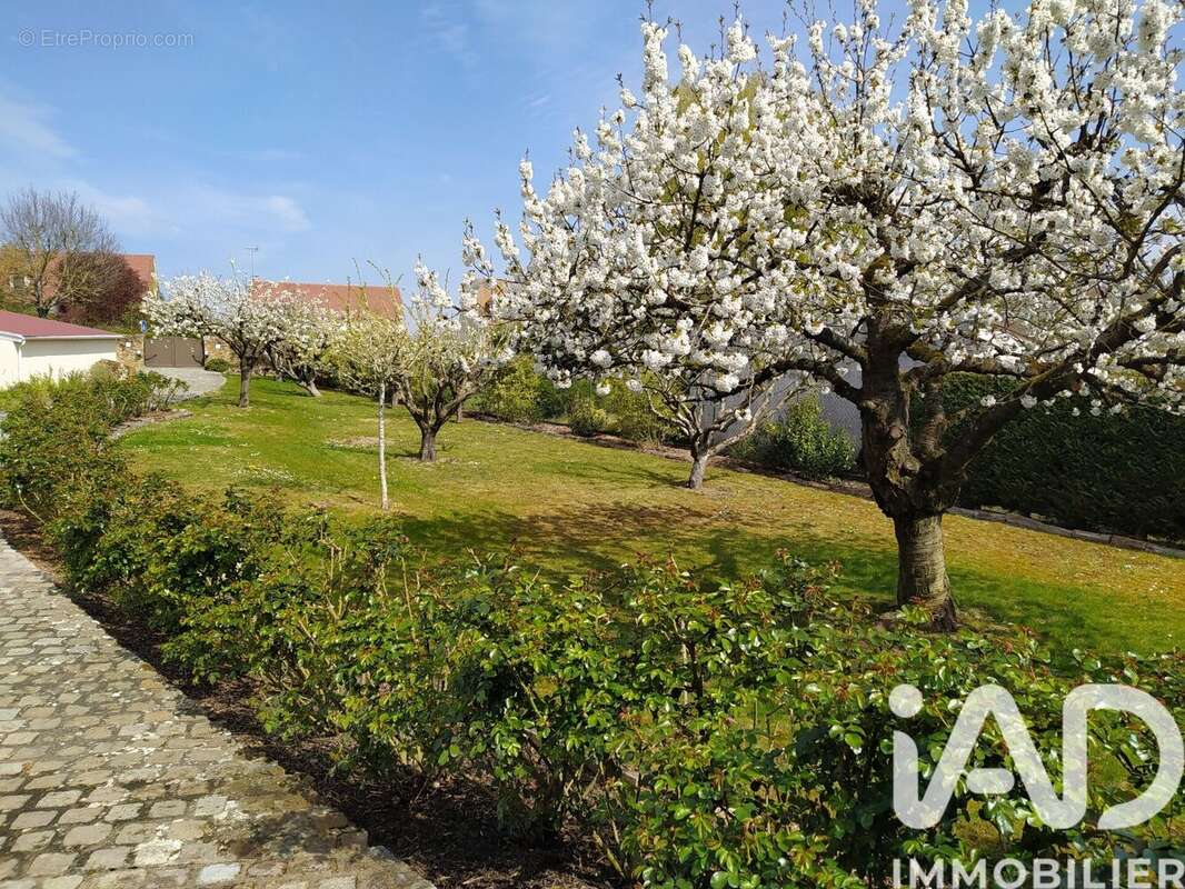 Photo 5 - Maison à SOIGNOLLES-EN-BRIE