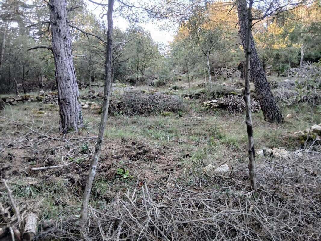   - Terrain à CABRIS