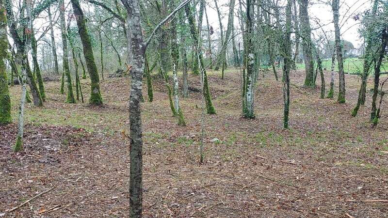 Terrain à vendre de 1 255,00 m² BALADOU (46) - photo 3