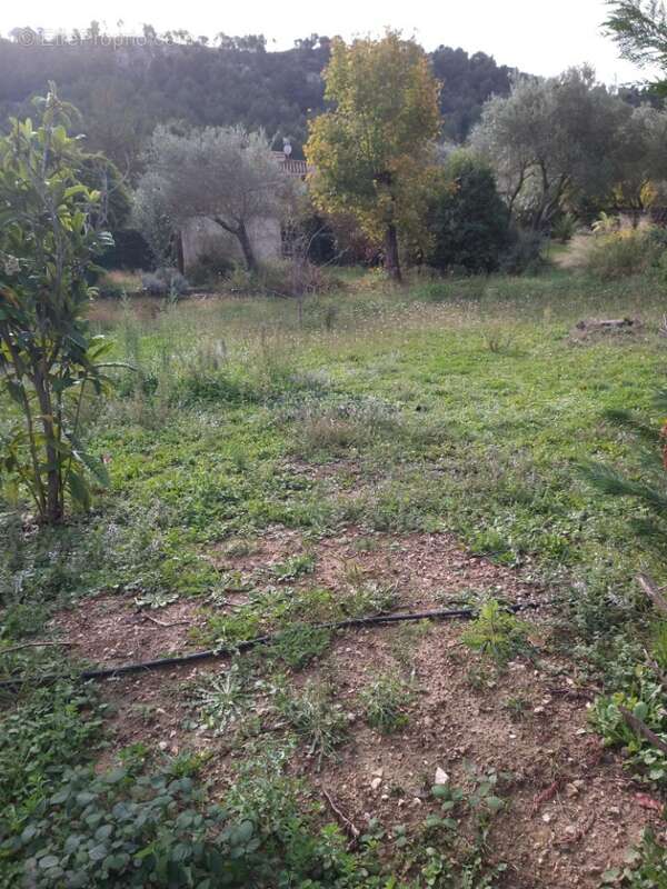 Terrain à AUBAGNE