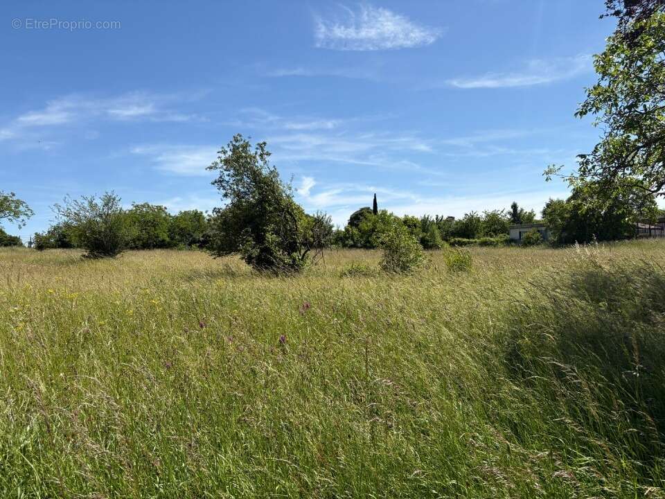 Terrain 786 m² à Montpitol  - photo 2