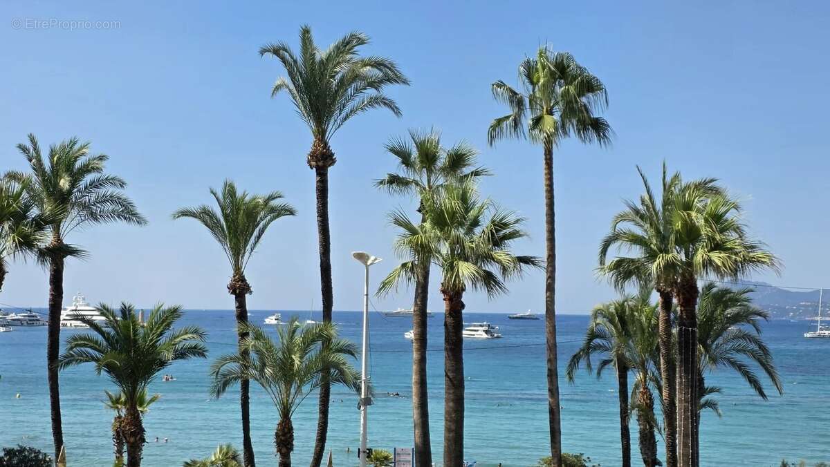 Cannes Croisette - 2P 60 m²- Terrasse Vue mer - photo 14