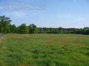 Terrain à PUYRAVAULT