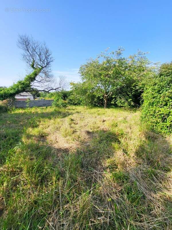 Maison à TELGRUC-SUR-MER