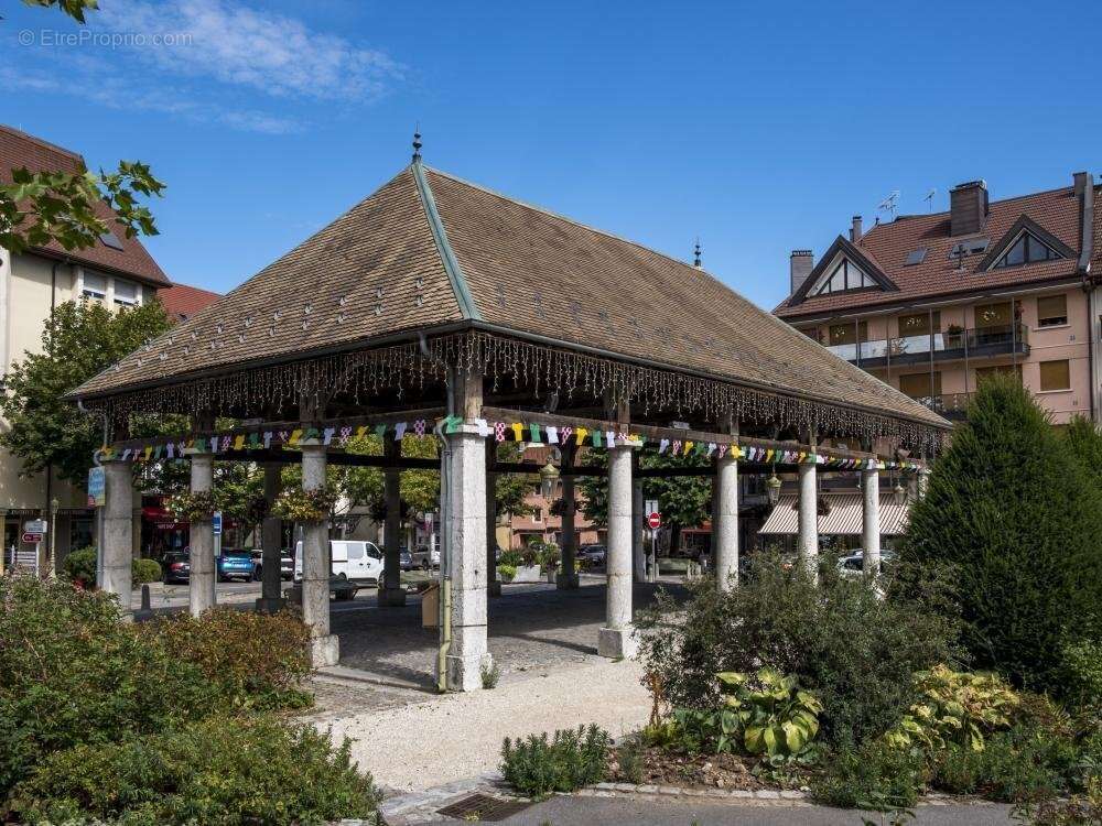 A 25 MIN DE GENEVE Superbe T2 BBC à étrenner centre ville, montagnes et charme médiéval accès direct à Genève et Annecy. - photo 3