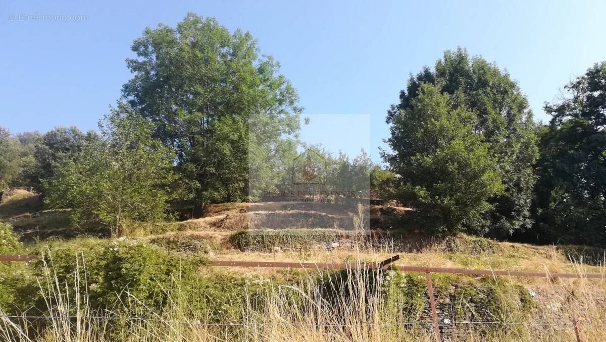 Terrain à LE COLLET-DE-DEZE