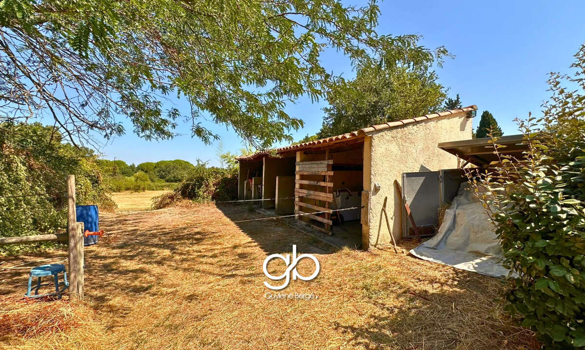 Propriété familiale avec 3 logements indépendants, piscine, installations équestres et hangar à boisseron - photo 7