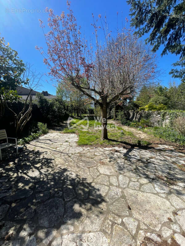 Maison 217 m² à Mazamet  - photo 4
