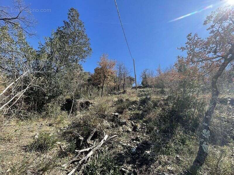 Terrain à MARQUIXANES
