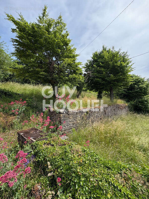 Maison Coulevon - photo 4