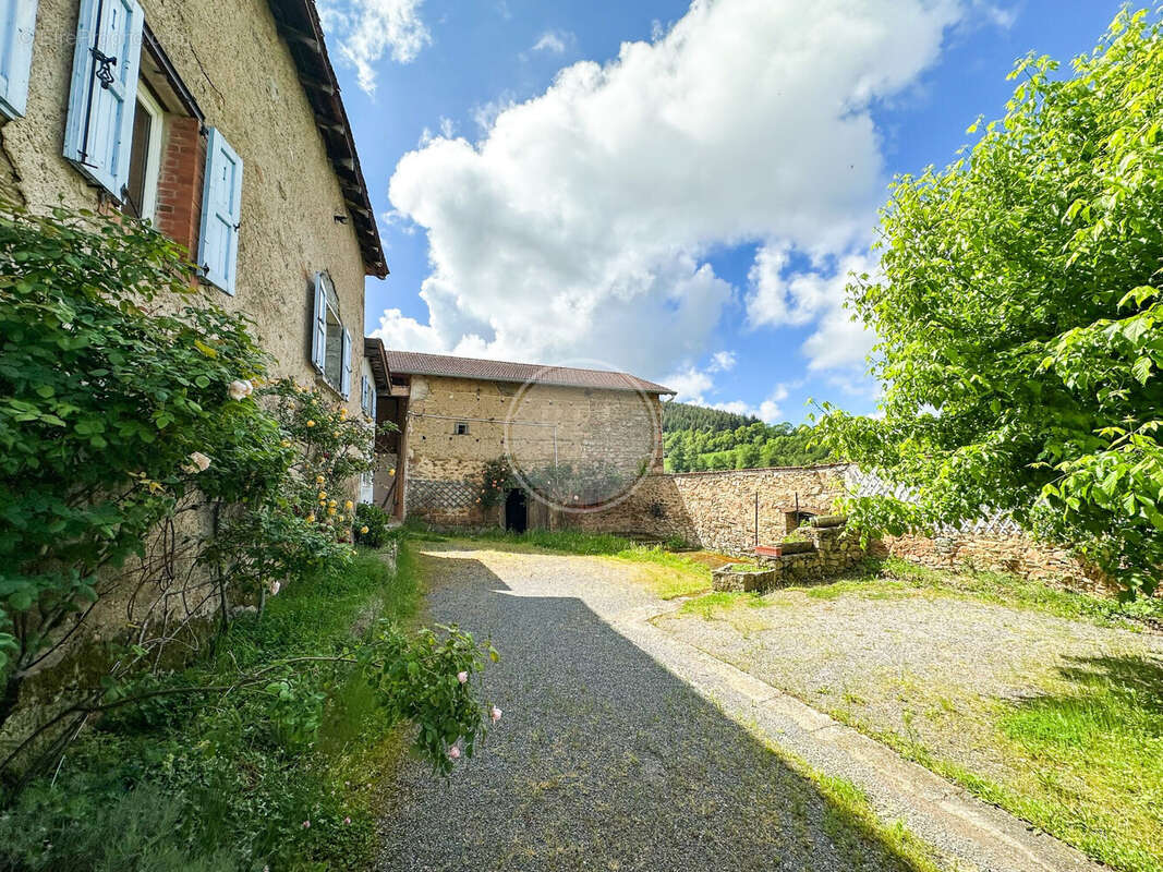 Maison à CHAZELLES-SUR-LYON