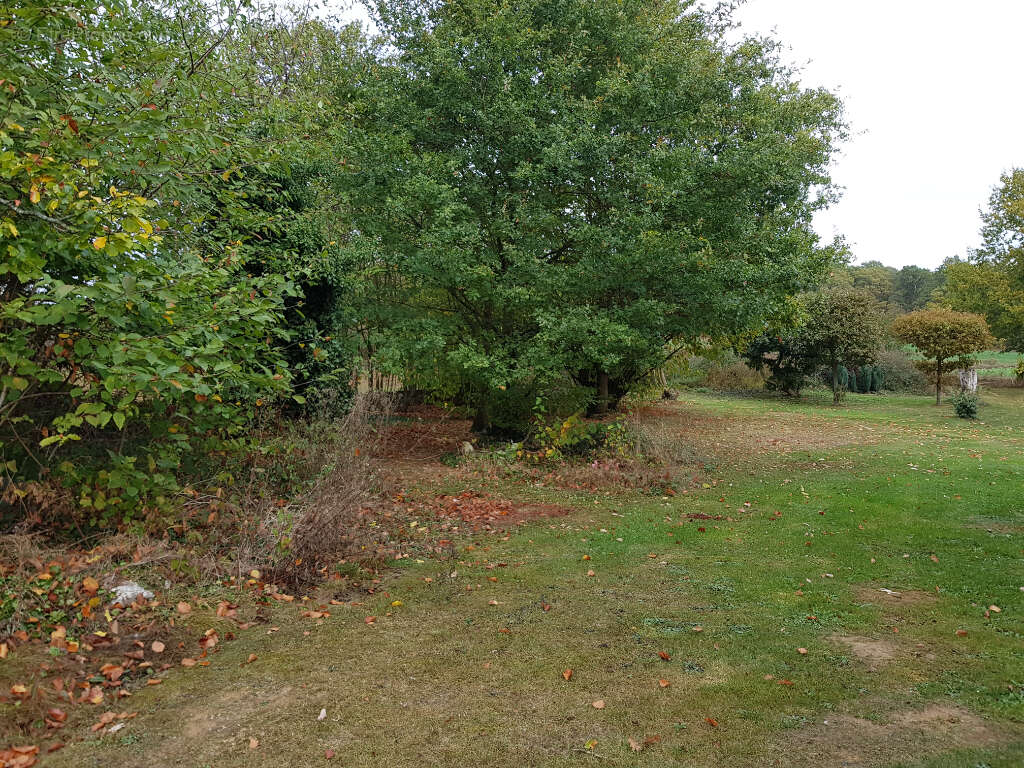 Terrain à VIGNEMONT