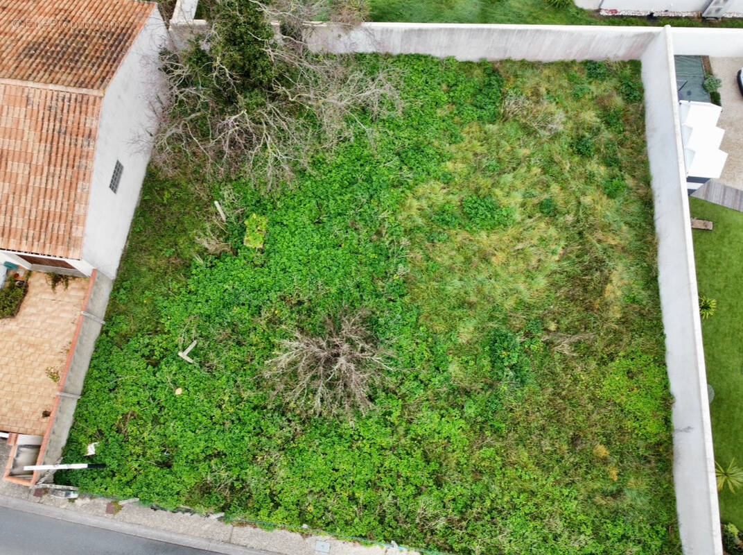 Terrain à LE CHATEAU-D'OLERON