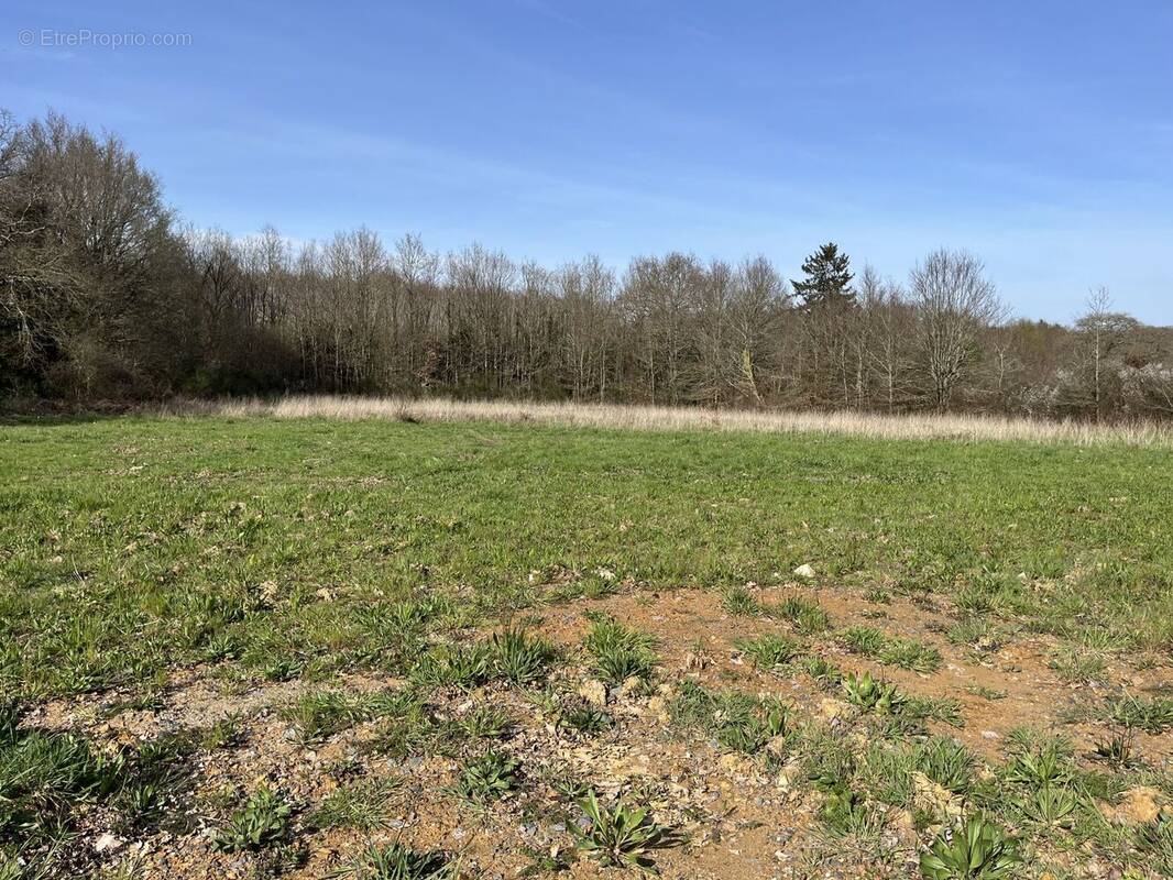 Terrain à ORVAULT