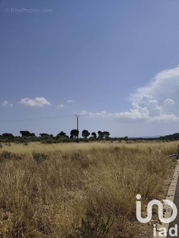 Photo 4 - Terrain à ROUBIA