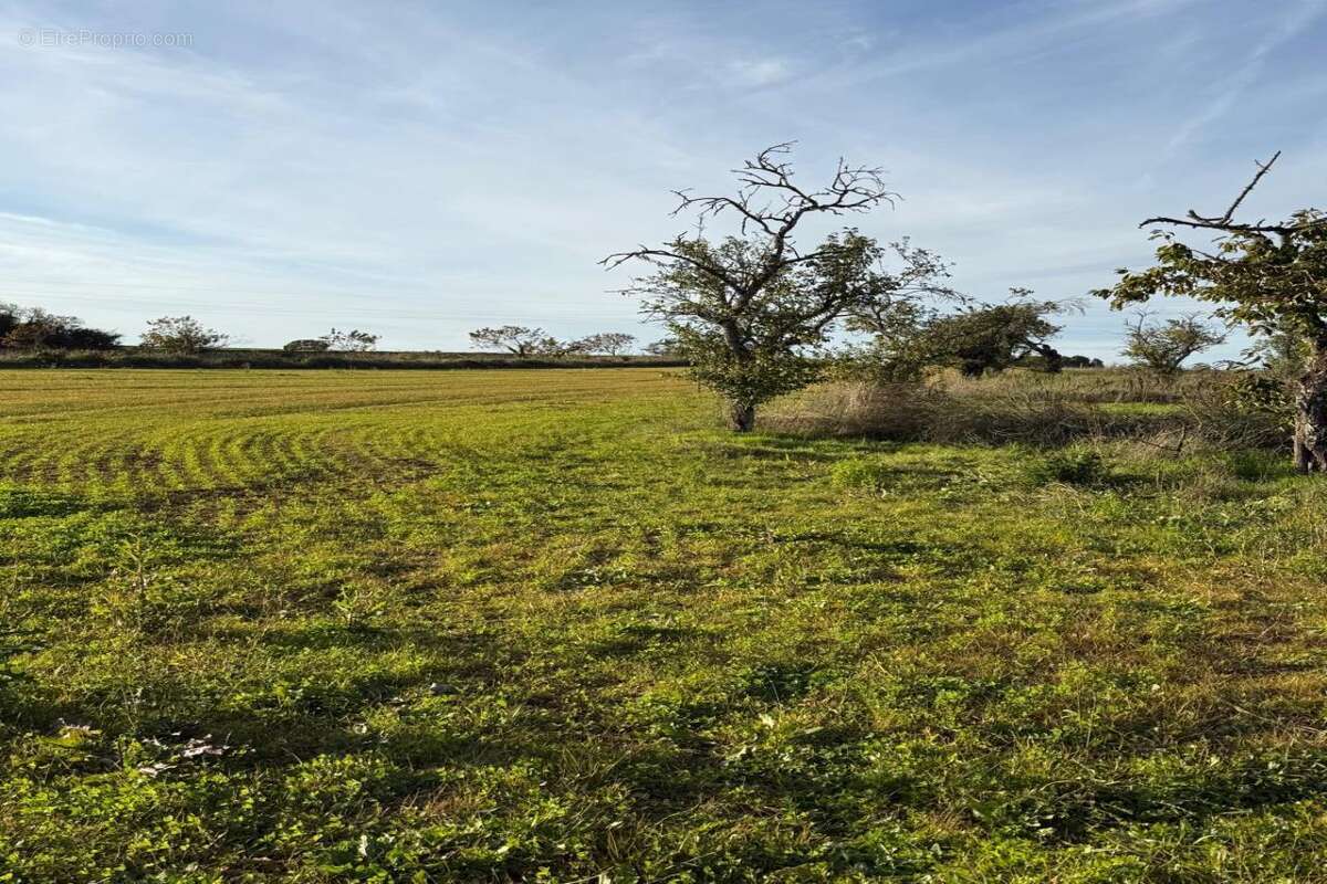 Terrain à HAUTEVILLE-LES-DIJON