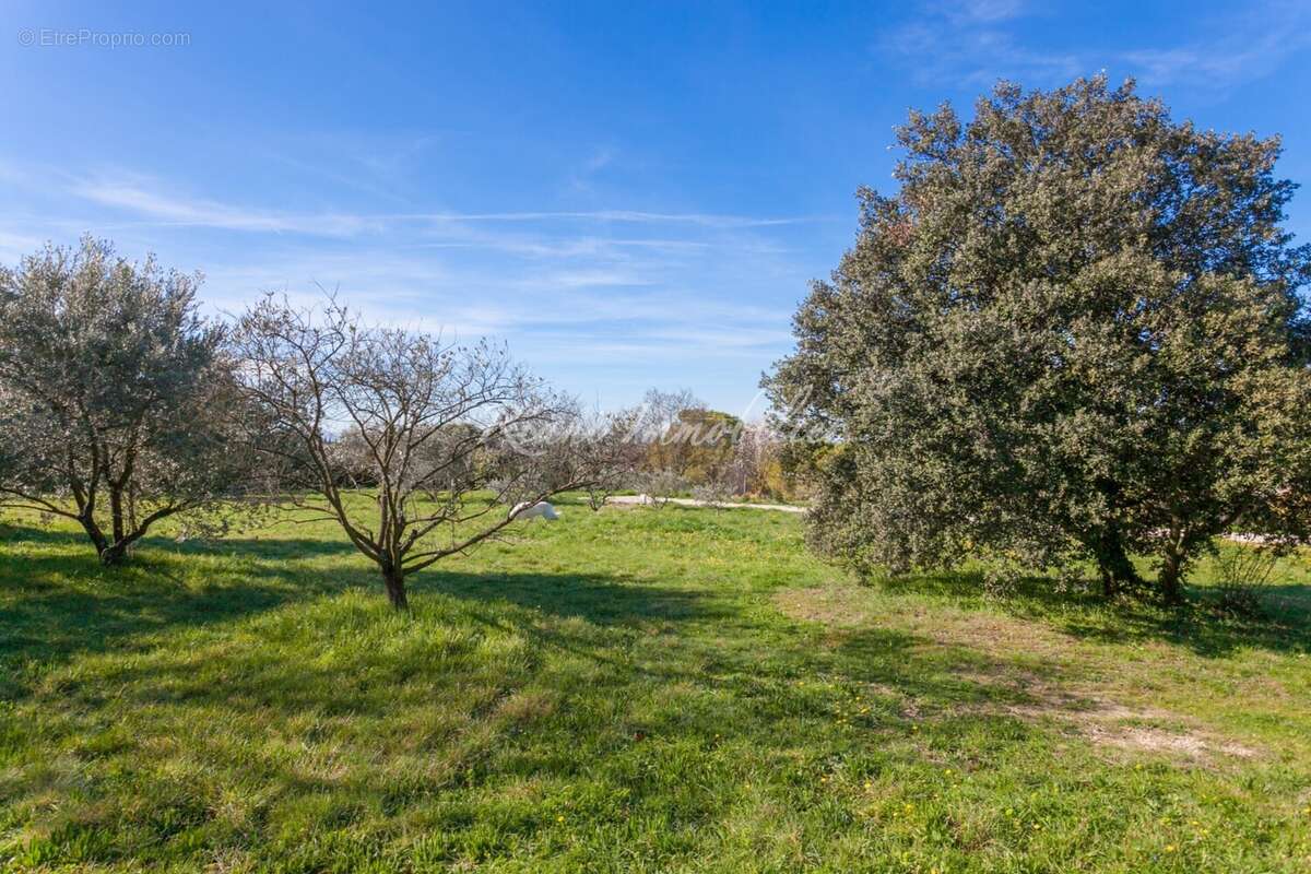 Terrain à LAGNES