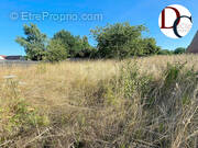 Photo 1 - Terrain à SENLIS