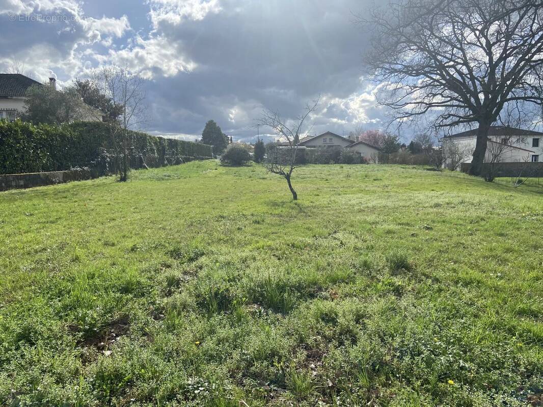 Terrain à ALBI