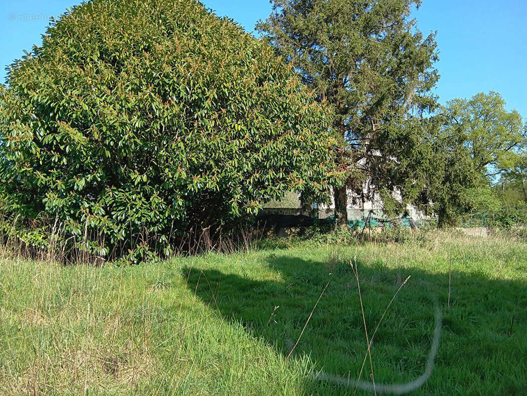 Terrain à NOSTANG