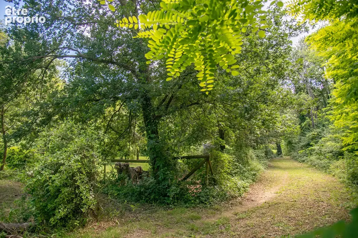 Domaine provençal dans la vallée de Cèze - photo 29