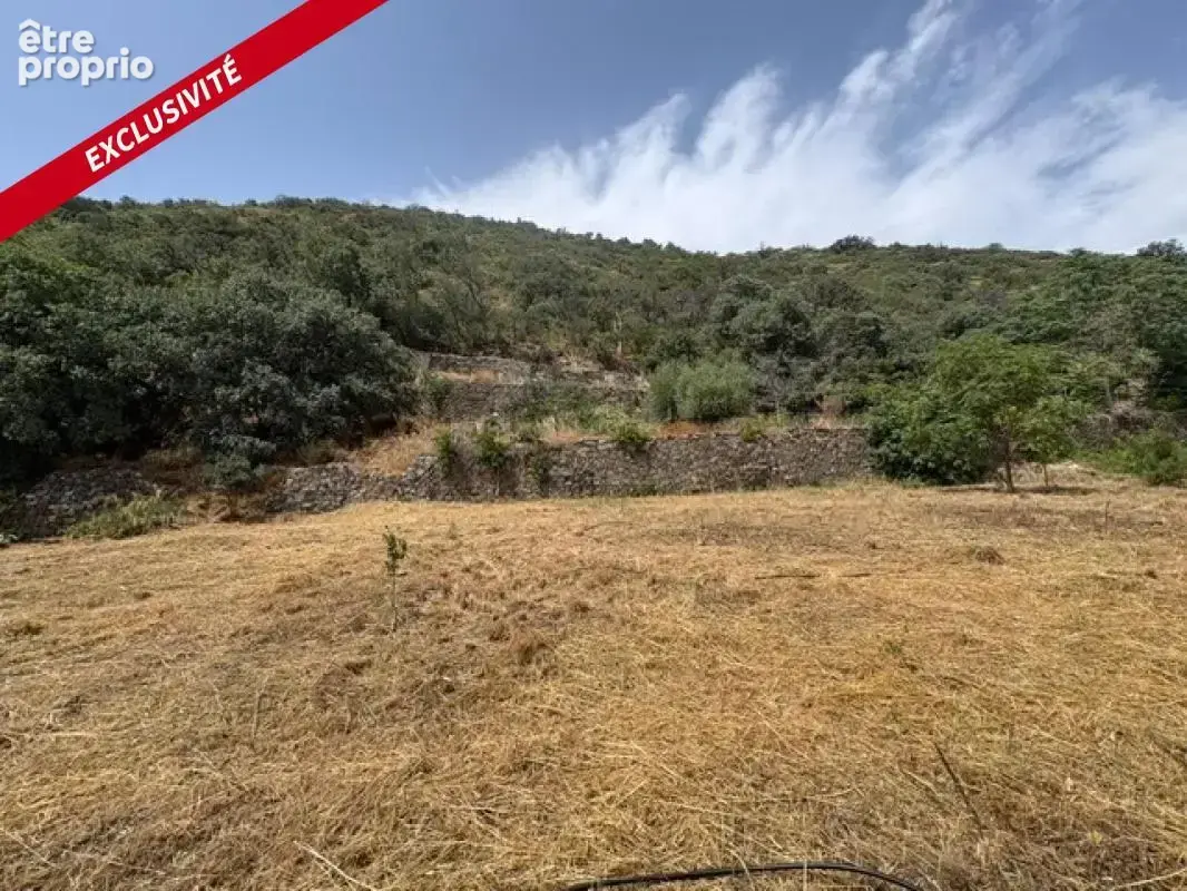 Terrain agricole 4495 m2 Prades - photo 11