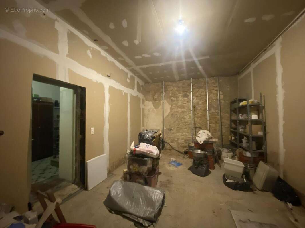 IMG8330 - Maison à SAINT-CYPRIEN