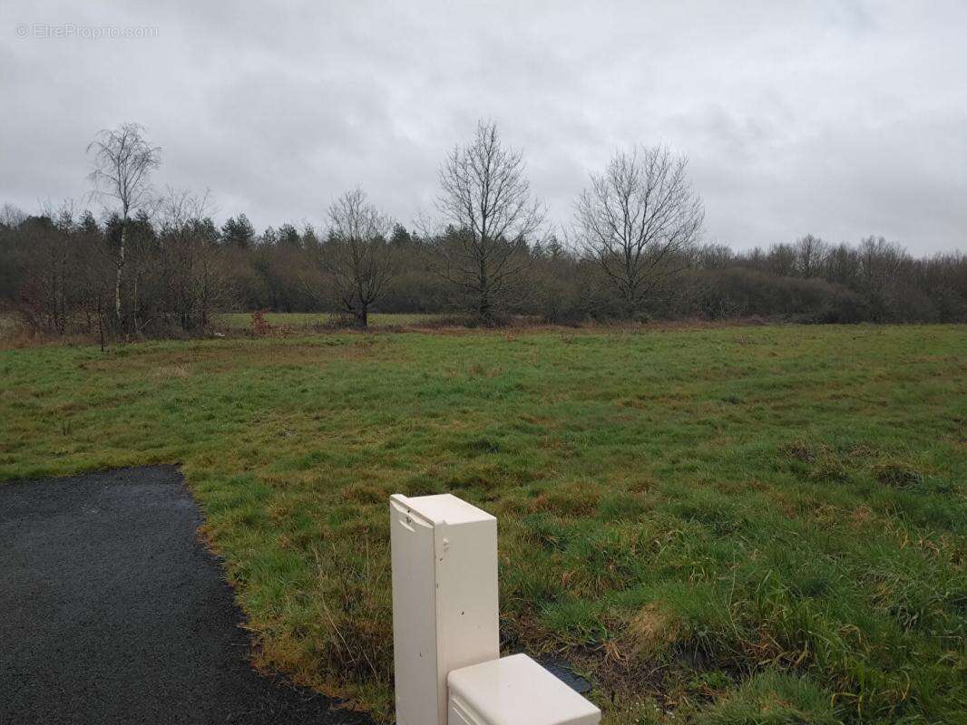 Terrain à La Marne - photo 3