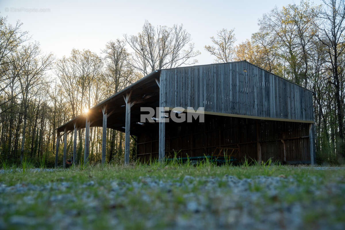 Domaine d’exception de 54,5 hectares avec maison de 300 m2, étang privé, piscine et 1 500 m2 de dépendances - photo 24