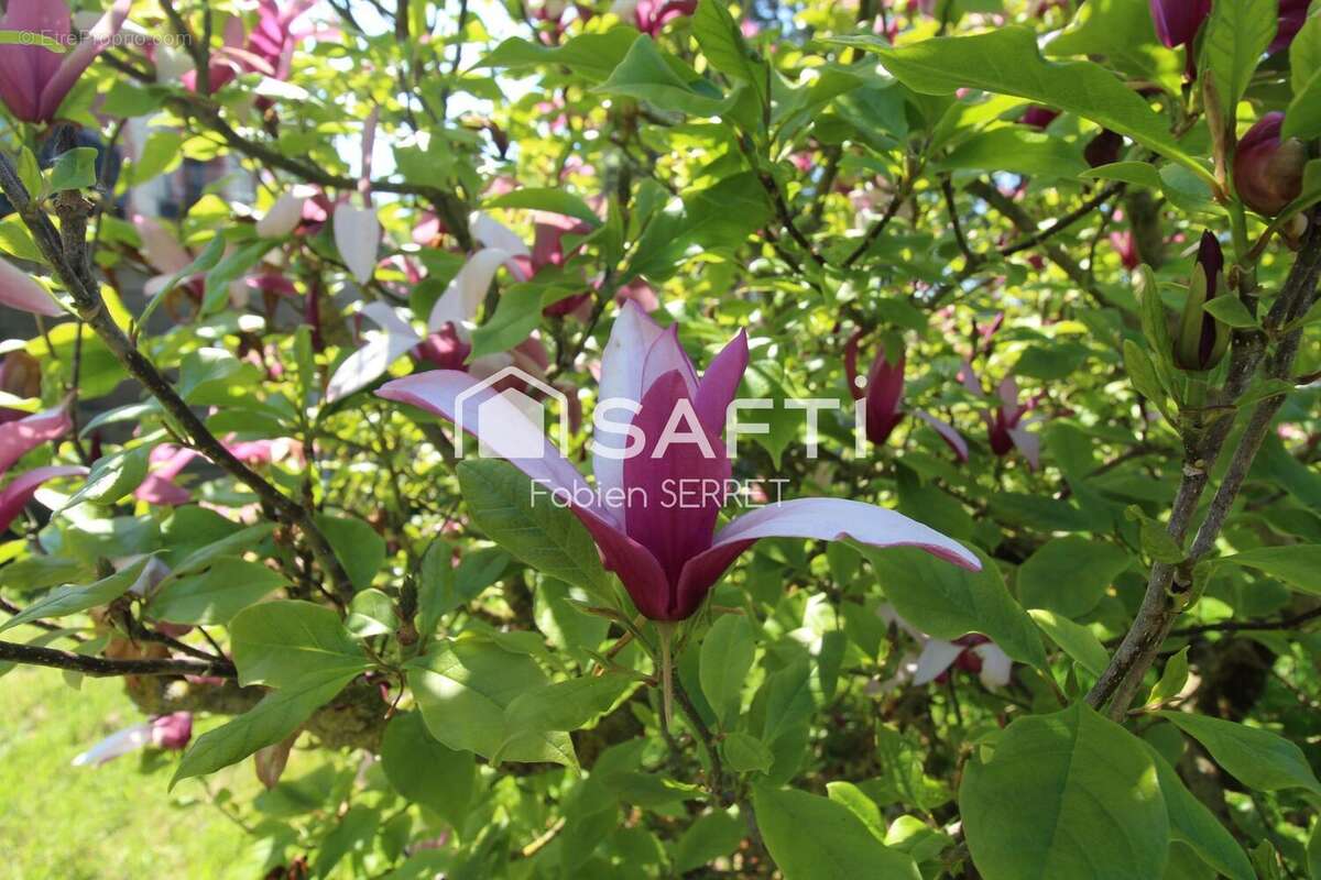 Photo 4 - Maison à LE MOLAY-LITTRY