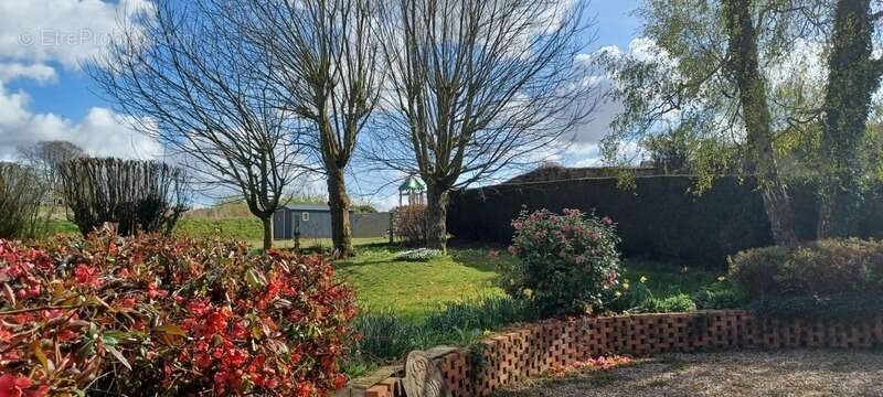 Maison à FAUVILLE-EN-CAUX