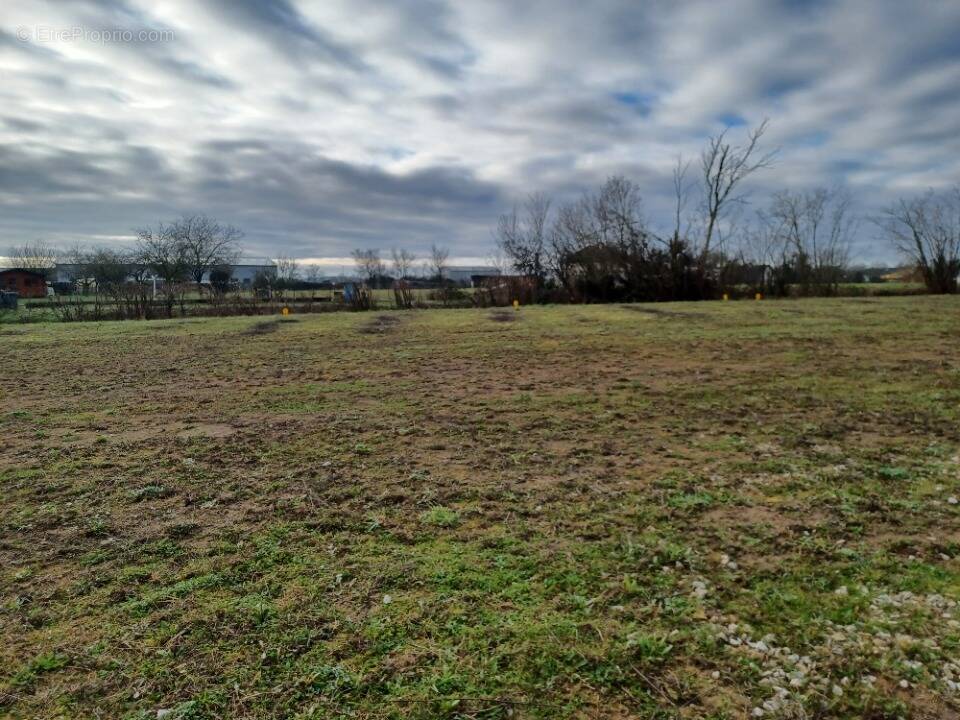 Terrain à ASSE-LE-BOISNE