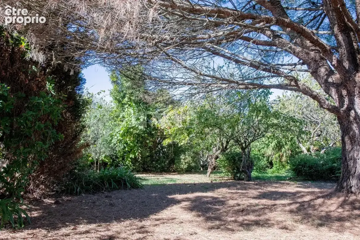 Maison  de  charme   au coeur de Belz  avec terrain  constructible - photo 38