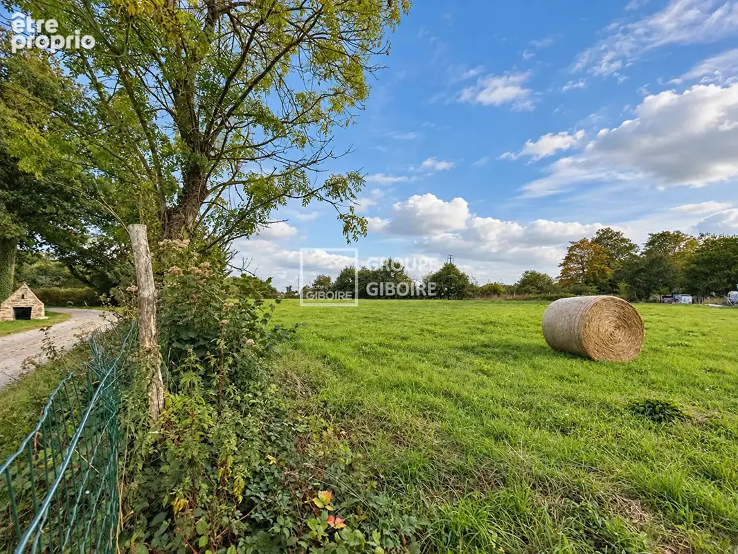A Vendre-Agence GIBOIRE - Terrain 5000 M2  Saint Guyomard - photo 2