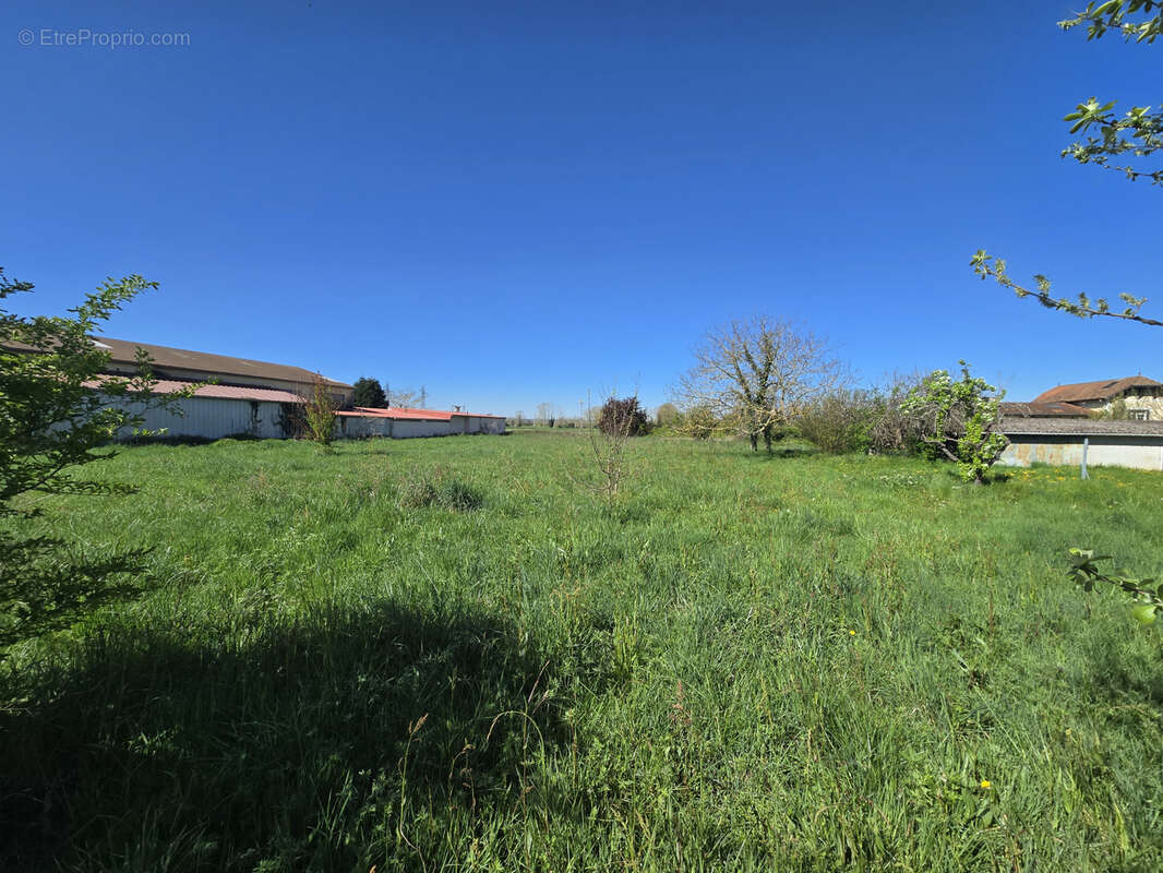 Terrain 2 512 m2 Zone UX - photo 3