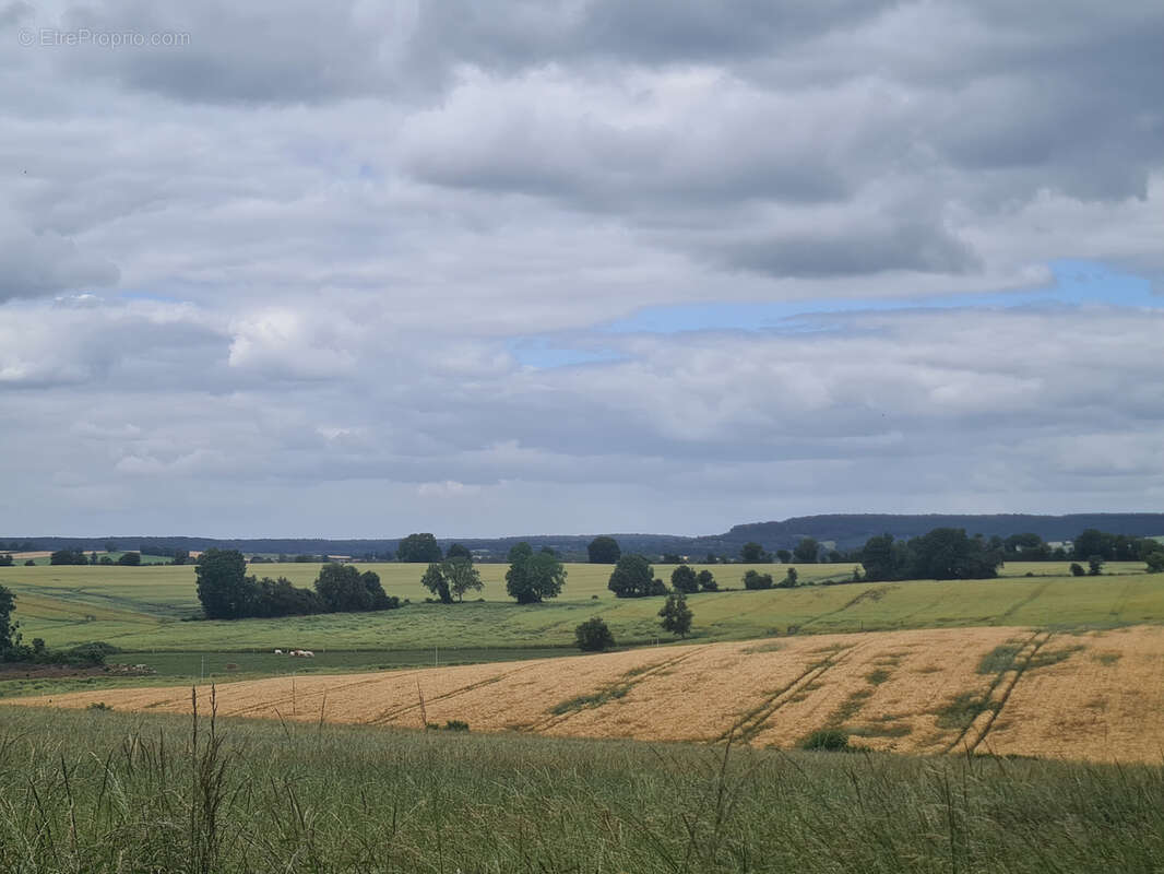 Longère en pierre sur 1ha de terrain avec vue - photo 2