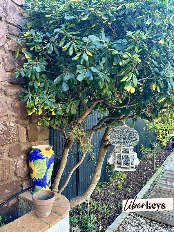 Maison à SAINT-RAPHAEL