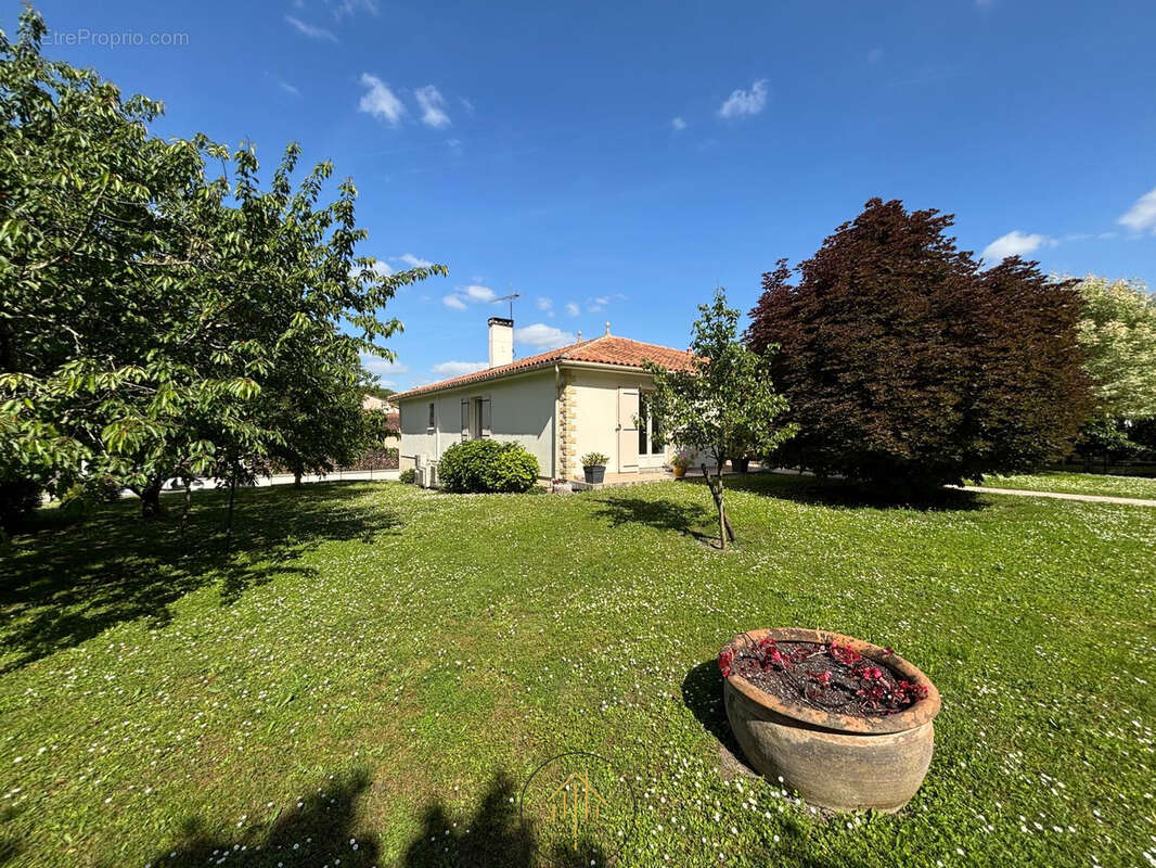 Maison 3 chambres, piscine, garage, terrain clos et arbore - photo 15