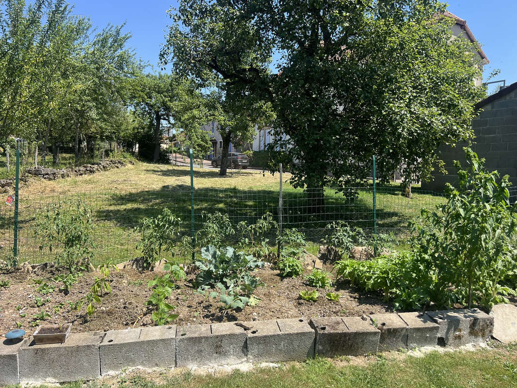 Maison à VENDENESSE-LES-CHAROLLES