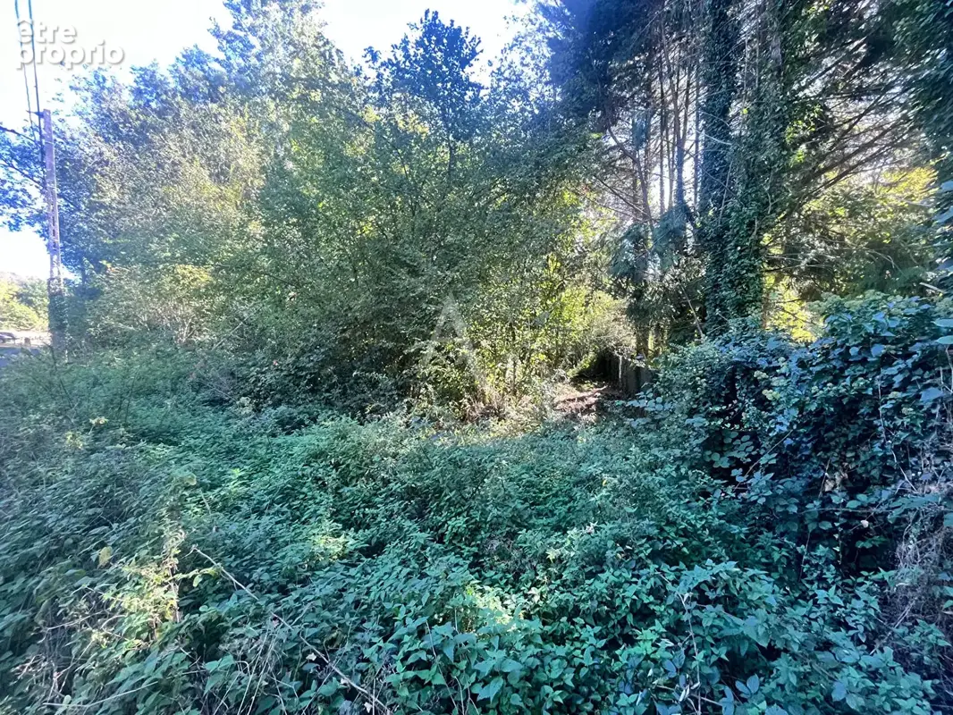 Saint martin de brethencourt - terrain a batir - photo 5