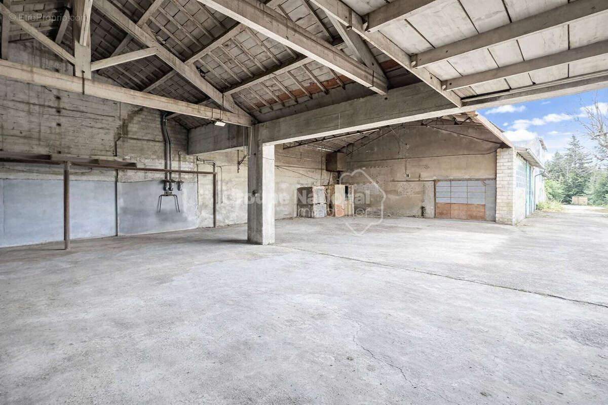 Maison à ALTHEN-DES-PALUDS