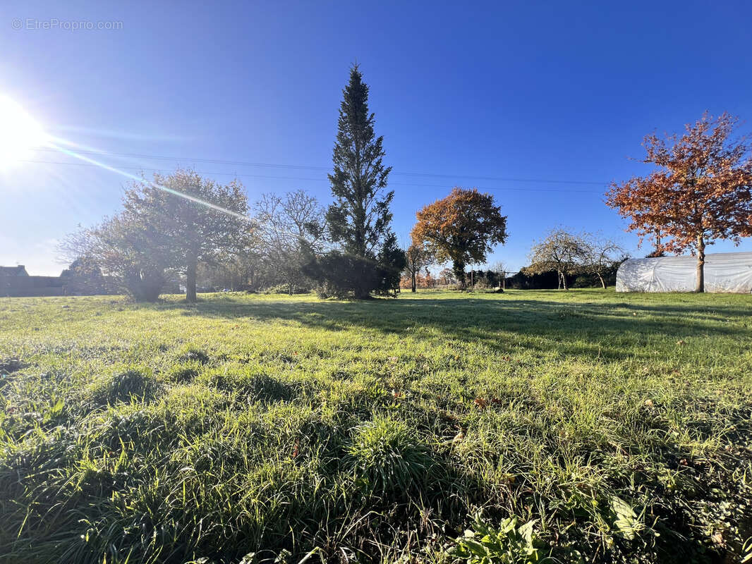 Maison à SAINT-POTAN