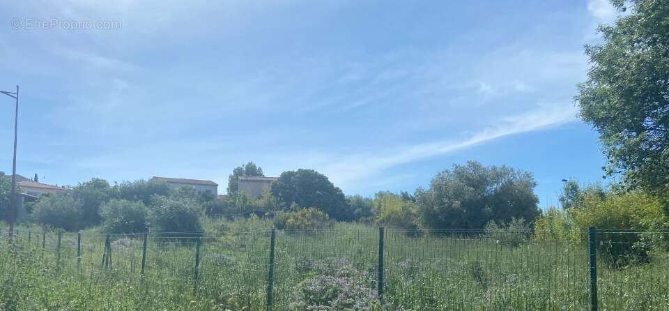 Terrain à QUARANTE