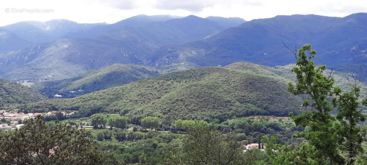 Terrain à REYNES