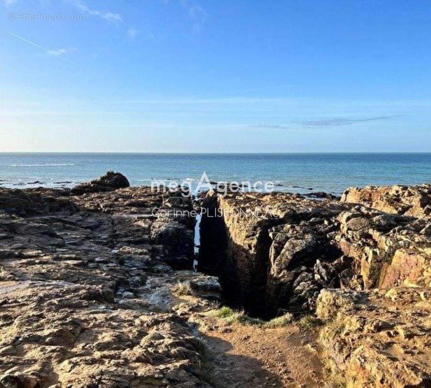 Terrain à LES SABLES-D'OLONNE